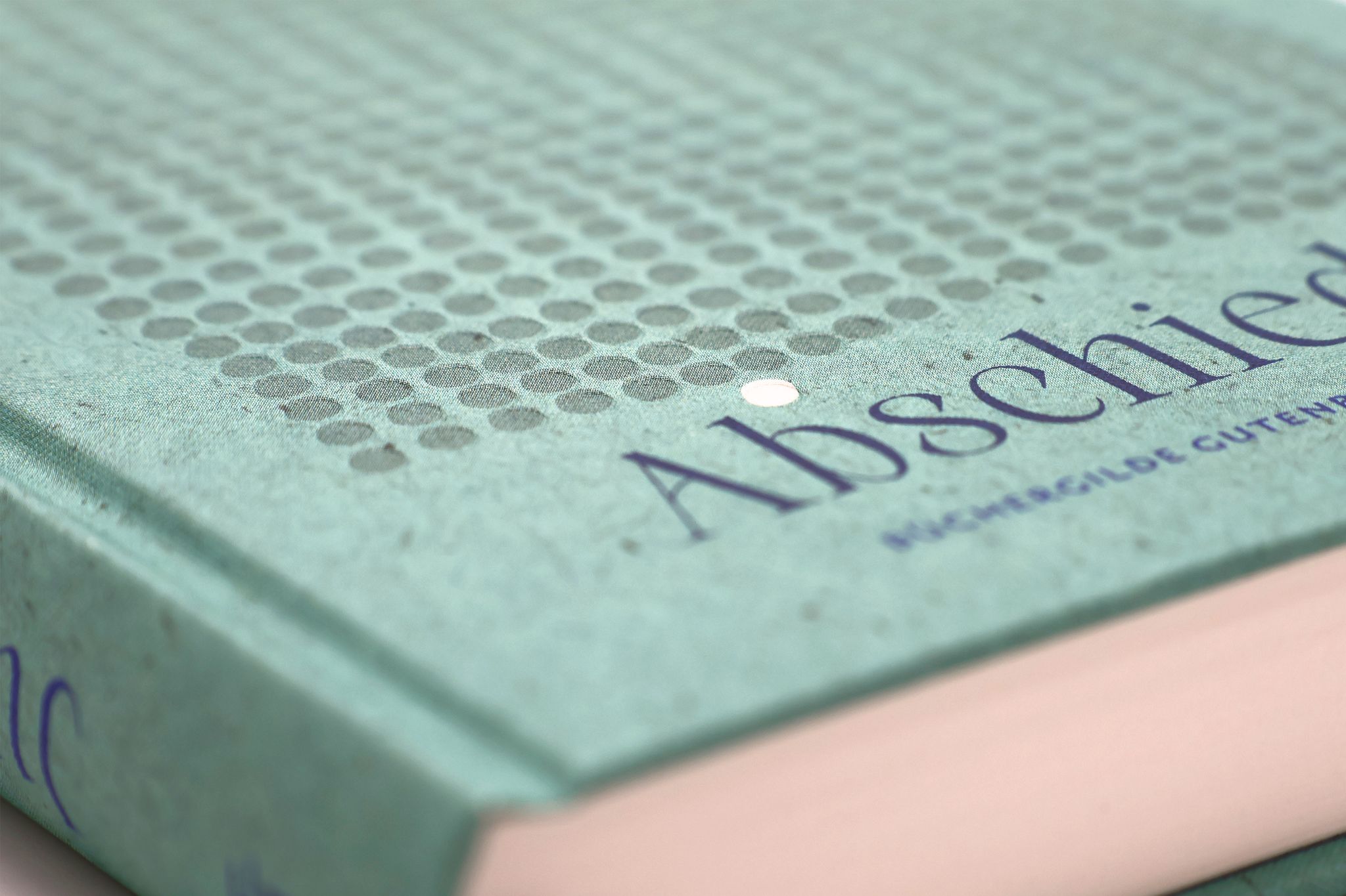 177420_Barnes_Abschiede_BA_04.jpg