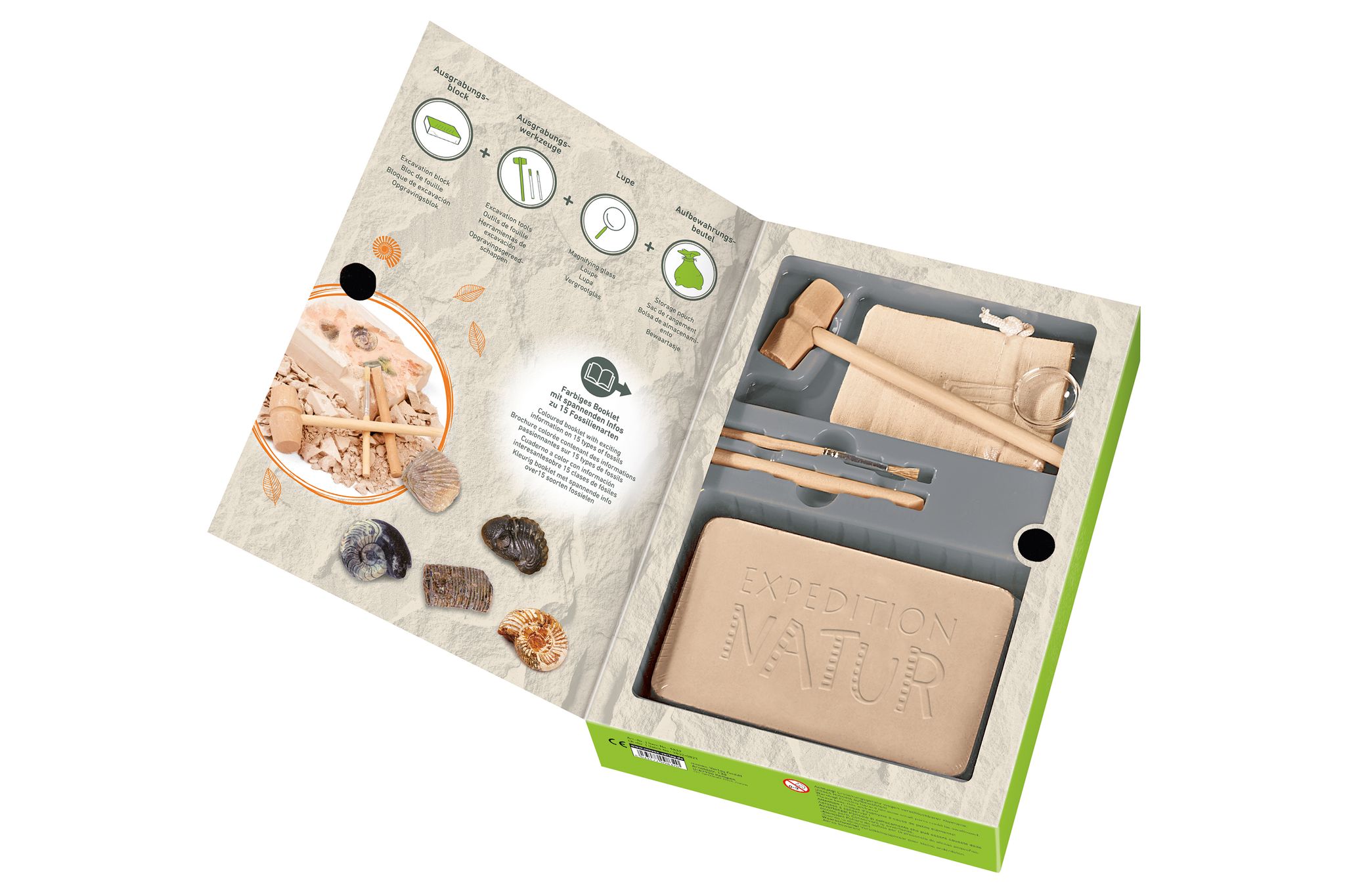 308410_Fossilien-Set_BM_01.jpg