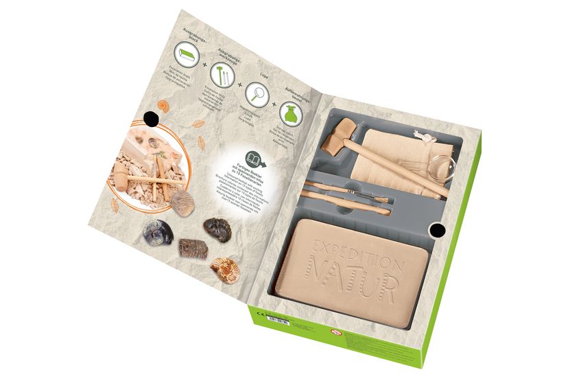 308410_Fossilien-Set_BM_01.jpg