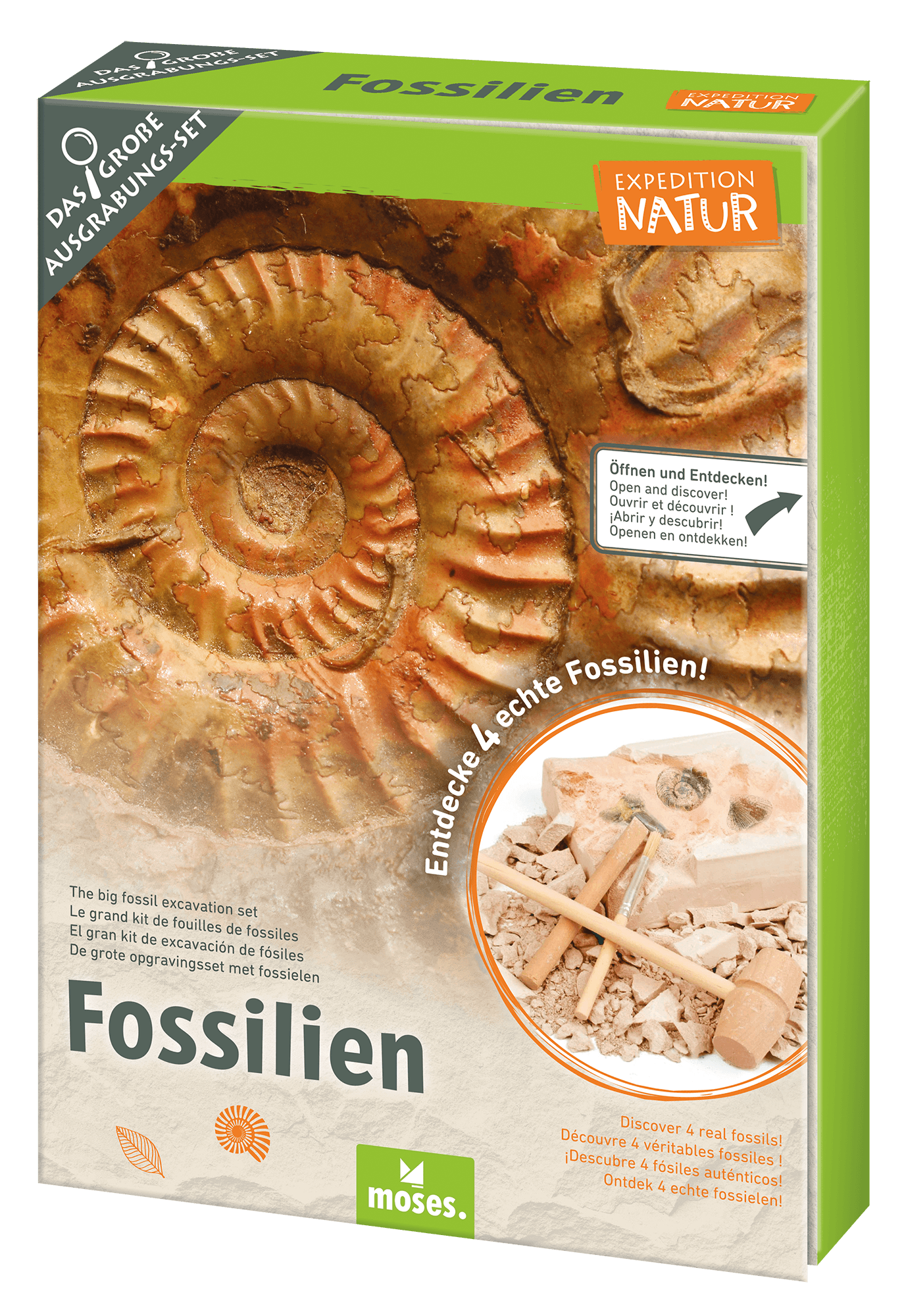 308410_Fossilien-Set_FR_01.png