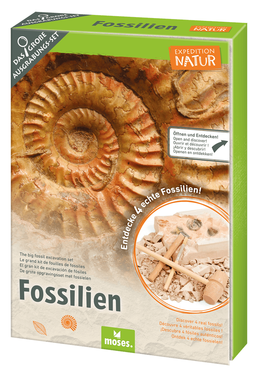 308410_Fossilien-Set_FR_01.png